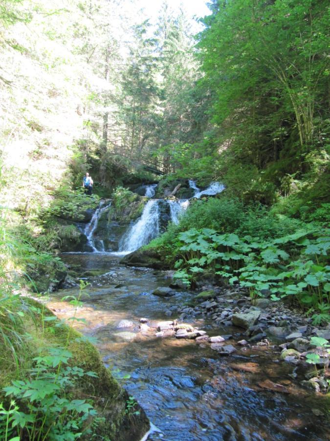Roetenbacher Wiesen Friedenweiler Exteriér fotografie